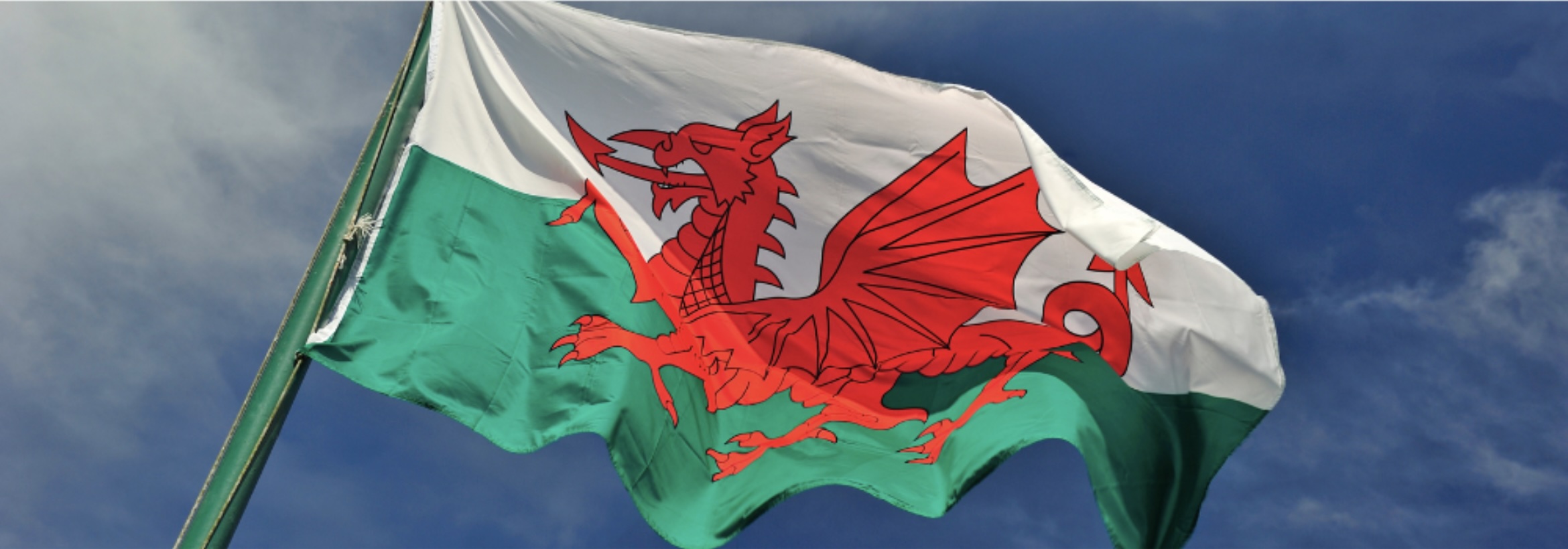 welsh-workplace